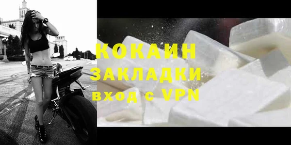 ГАЛЛЮЦИНОГЕННЫЕ ГРИБЫ Михайлов
