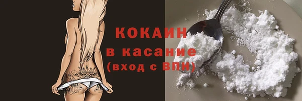 ГАЛЛЮЦИНОГЕННЫЕ ГРИБЫ Михайлов