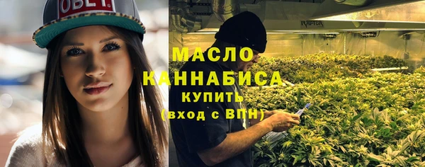 ГАЛЛЮЦИНОГЕННЫЕ ГРИБЫ Михайлов