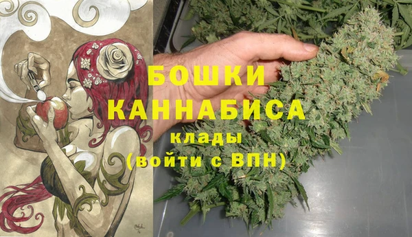 молекула духа Медногорск