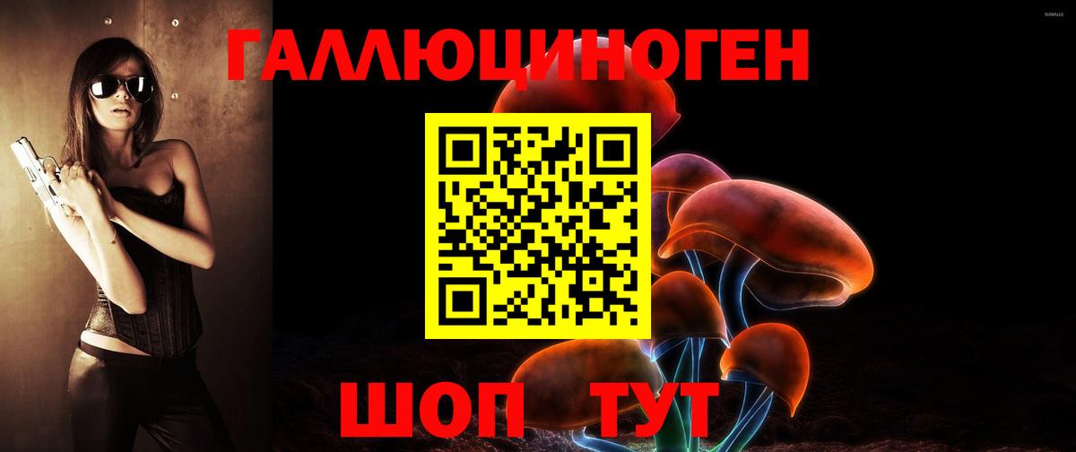 Галлюциногенные грибы Psilocybe Кореновск
